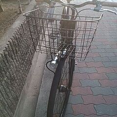 🚴コルテス700ｃ