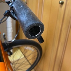 《引取先が決まりました！》ジャイアント　エスケープの定番「グラビエ」。