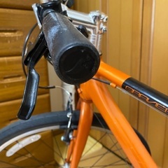 《引取先が決まりました！》ジャイアント　エスケープの定番「グラビエ」。