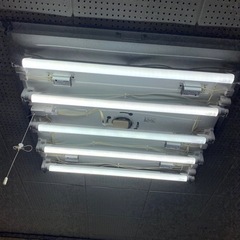 LED蛍光灯 のみ　3本有ります。
