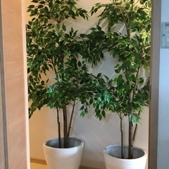 【受け取り予定者決定】IKEA フェイカ 人工観葉植物 2本　白...