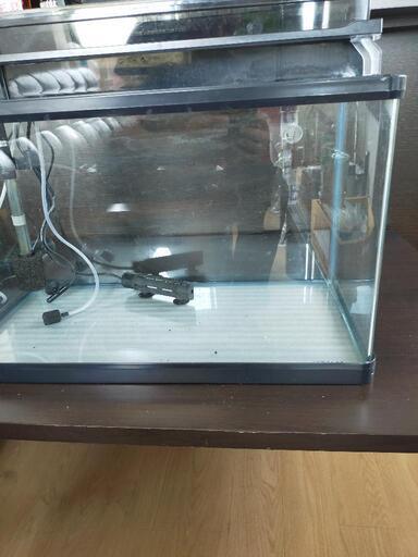 最終値下げ!GEX60cm水槽2個セットおまけ増えました!