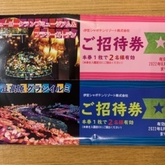 最安値2名様チケット6200円分 伊豆高原グランイルミ・フラワー...