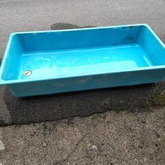 お話し中です!! 金魚すくいとかに使える水槽