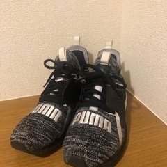 PUMA IGNITE 26cm