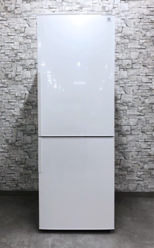 IPK-123【美品】SHARP シャープ プラズマクラスター ノンフロン 冷凍冷蔵庫 2015年製 ホワイト 2ドア 冷蔵庫 271L