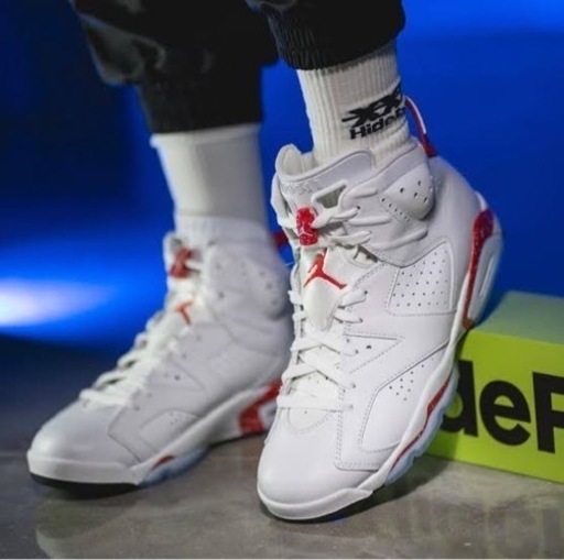 その他 Nike Air Jordan 6 \