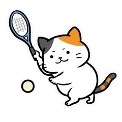 和泉　ソフトテニスの画像