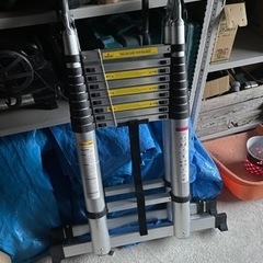 脚立兼用梯子　梯子時8m(🤩