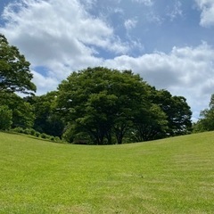 植物ともだち募集🌱