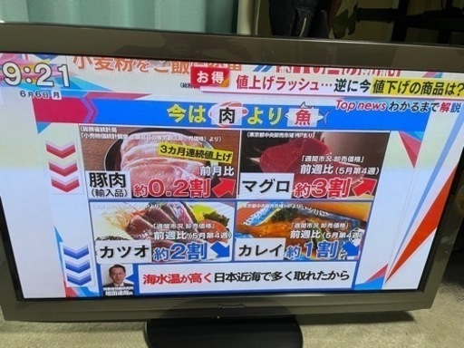 パナソニック 42型 テレビ