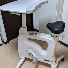 取引中 アルビノシルバーアロワナ、バラマンディ 水槽セット売り