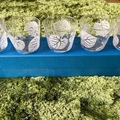 TOMI GLASS  ガラスコップ　5個組