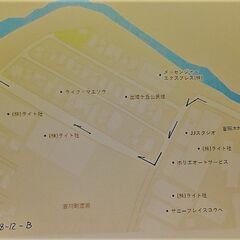 能勢ＹＧ血統　オオクワガタ　初・２令幼虫　　2頭　（雌雄判別無し）