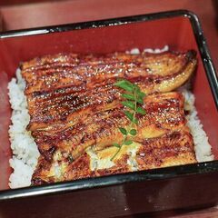 6/14(火)12:00～ 平日グルメ会｜鰻ランチ｜うなぎ【新宿】