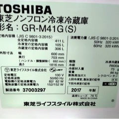 TOSHIBA GR-M41G