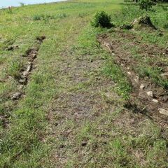 浜辺の遊歩道美化作業