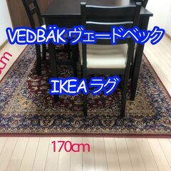 170x230 cm IKEA カーペット 絨毯 ペルシャ VE...