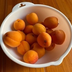 無料　完熟杏子　沢山　差し上げます。