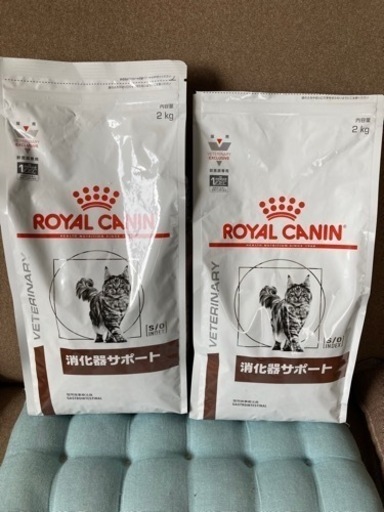 ロイヤルカナン　猫用　消化器サポート　2kg×2個　おまけ付き
