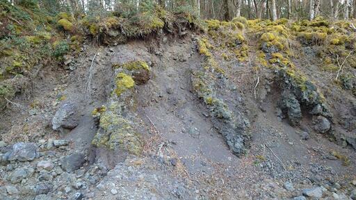 超希少な静岡十里木産苔付き富士山溶岩石