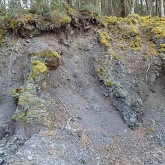 超希少な静岡十里木産苔付き富士山溶岩石
