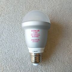 【美品】アイリスオーヤマ LED電球