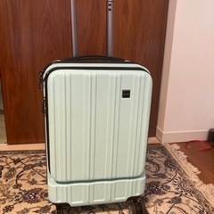 (最終値下げ)【訳あり】CALPAK Carry-On スーツケース