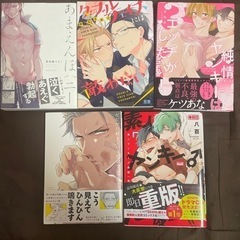 【ネット決済・配送可】ボーイズラブ漫画　ヤンキー君セット