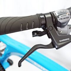 R&M 「リーズアンドミューラー」 BIRDY STANDARD DISC 2015年モデル ミニベロ