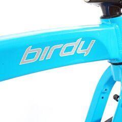 R&M 「リーズアンドミューラー」 BIRDY STANDARD DISC 2015年モデル ミニベロ