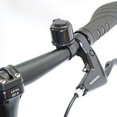 R&M 「リーズアンドミューラー」 BIRDY STANDARD DISC 2015年モデル ミニベロ