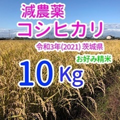 コシヒカリ 10kg 減農薬 茨城県 令和3年(2021) 米 ...