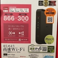 Wi-Fiルーター　15日のみ　神奈川