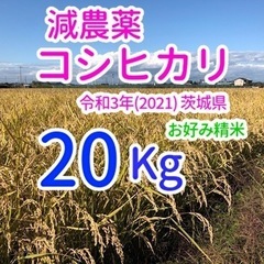 コシヒカリ 20kg 減農薬 茨城県 令和3年(2021) 米 ...