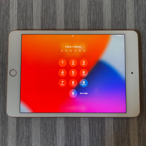 iPad iPad5 mini