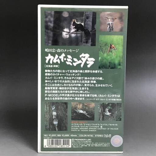 FI8/26　【希少】カムイ・ミンタラ 平沢進 サウンドトラック VHS ビデオ PIVS-1198 北海道・阿寒 嶋田忠 PIONEER パイオニア 昭和レトロ