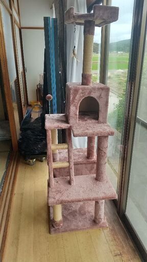 キャットタワー 美品