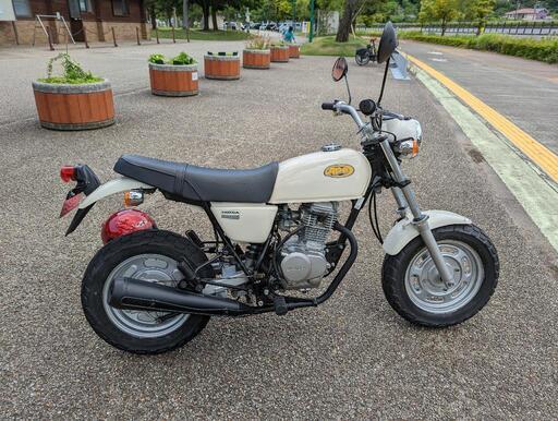 その他 ape100