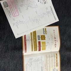 3年間補償付き！　ピジョン　ランフィリノン5 3年間補償付き！ ピジョン ランフィリノン5