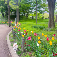 ピアノ〜SNS活用術まで幅広く教えます☺️ - 教えたい