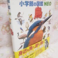 💕新品💕小学館の図鑑NEO　鳥💕