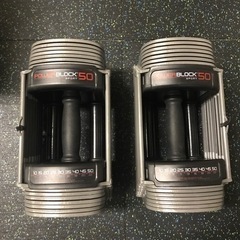 引取限定　POWERBLOCK PRO SP50 パワーブロック50ポンド