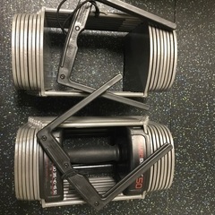 引取限定　POWERBLOCK PRO SP50 パワーブロック50ポンド