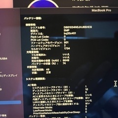 Macbook Pro 15インチ 16GB 1TB 2.9GHz i9(配送可)