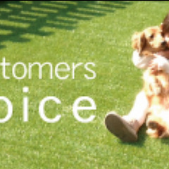 メモリーターフ人工芝28mm　国内最高スペック高級形状記憶　２ｍ×５ｍ　1本 　切り売り対応可