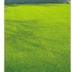 メモリーターフ人工芝28mm　国内最高スペック高級形状記憶　２ｍ×５ｍ　1本 　切り売り対応可