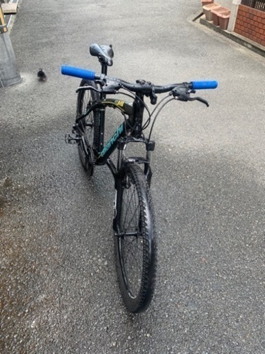 自転車 ビアンキ マウンテン 中古車