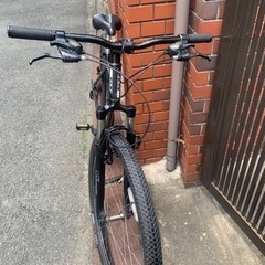 GT マウンテン　中古車