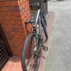 GT マウンテン　中古車